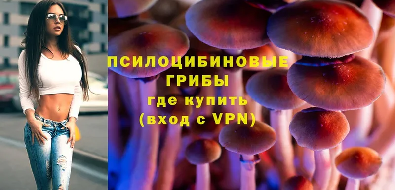 кракен маркетплейс  Кувандык  Псилоцибиновые грибы Psilocybine cubensis 